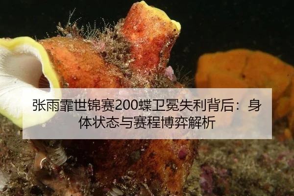张雨霏世锦赛200蝶卫冕失利背后：身体状态与赛程博弈解析